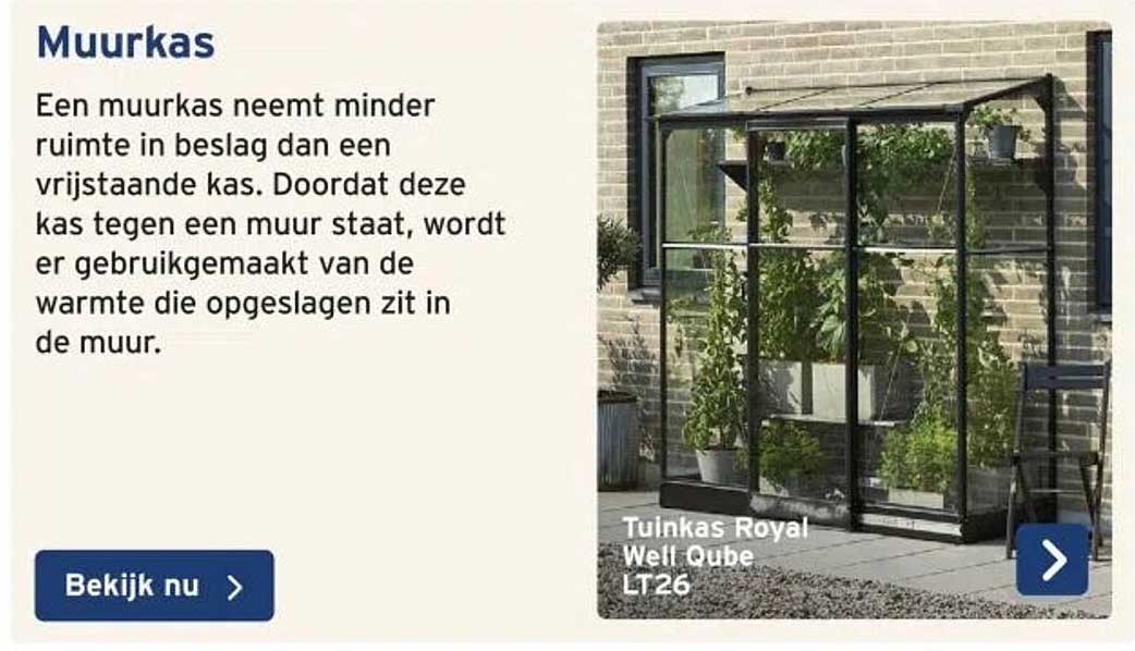Muurkas