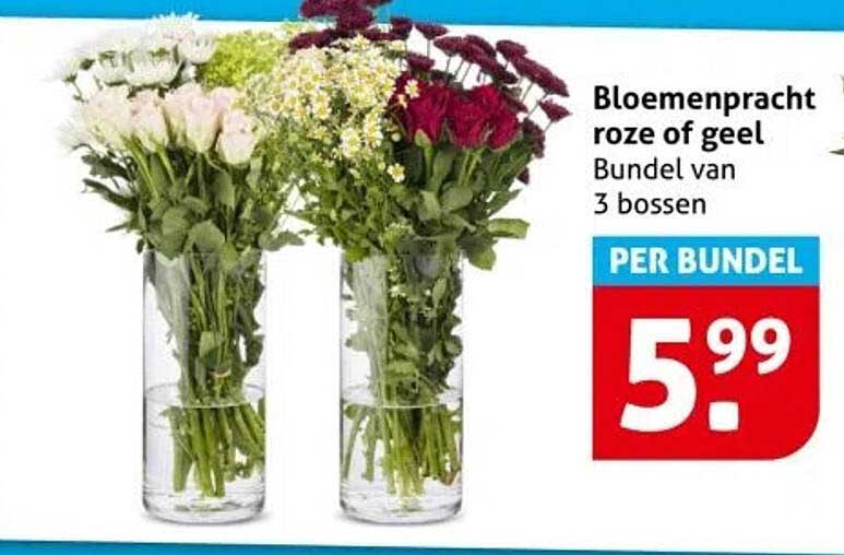 Bloemenpracht rozen of geel Bundel van 3 bossen
