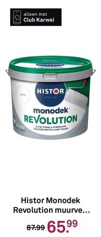 Histor Monodek Revolution muurschildering