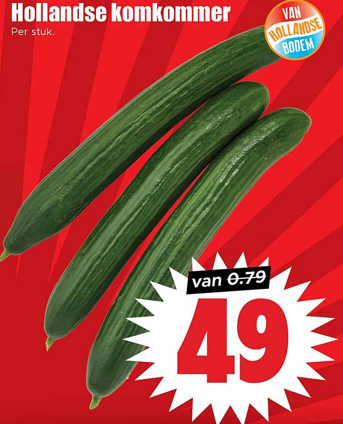 Hollandse komkommer