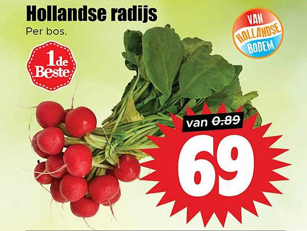 Hollandse radijs