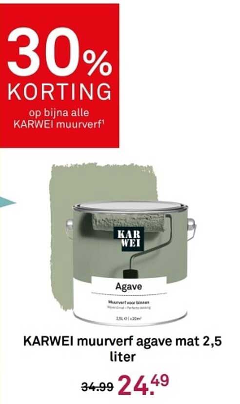 KARWEI muurverf agave mat 2,5 liter