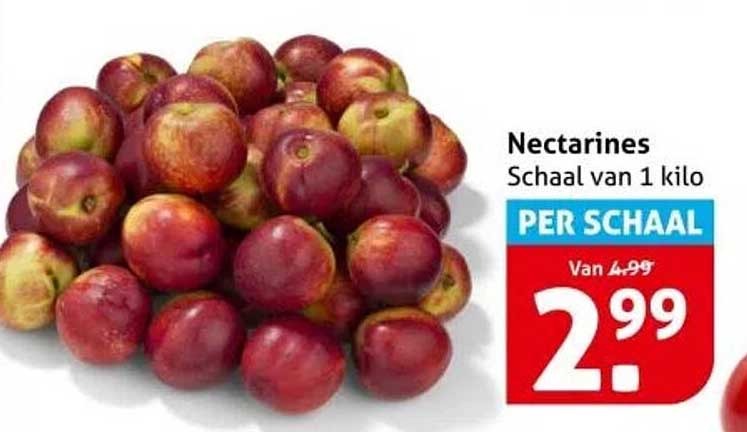 Nectarines Schaal van 1 kilo