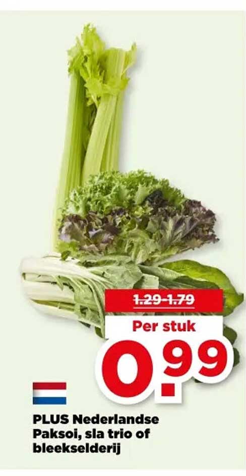 PLUS Nederlandse Paksoi, sla trio of bleekselderij