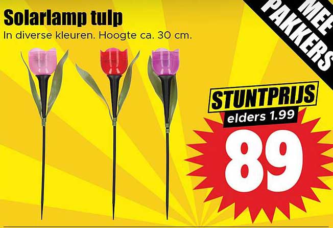 Solarlamp tulp