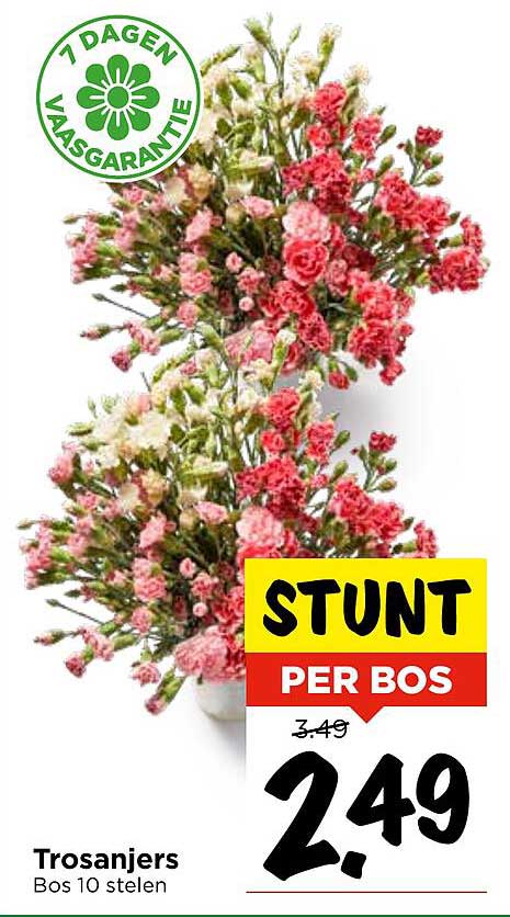 Trosanjers Bos 10 stelen