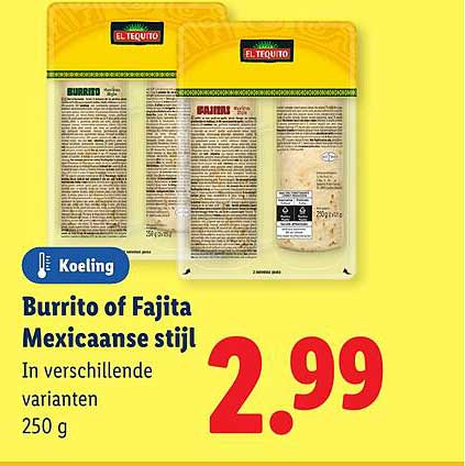 Burrito of Fajita Mexicaanse stijl