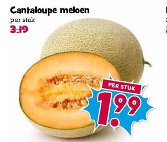 Cantaloupe meloen per stuk