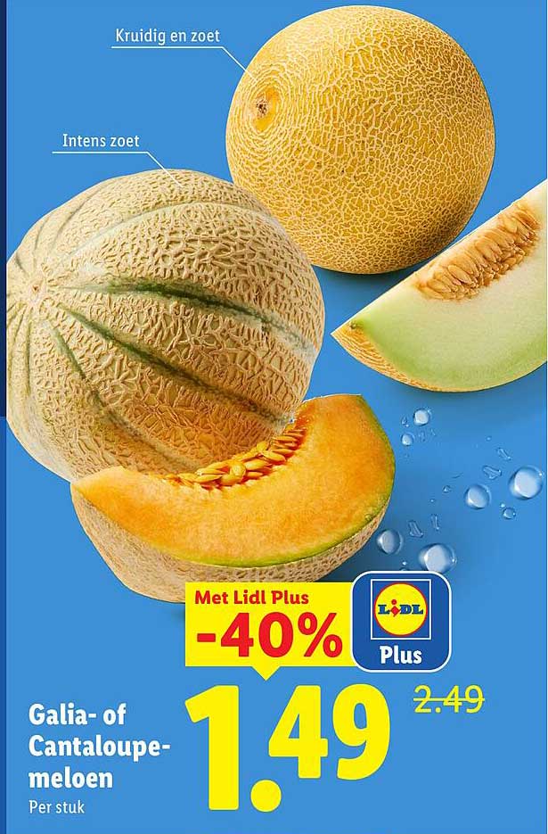 Galia- of Cantaloupe-meloen
