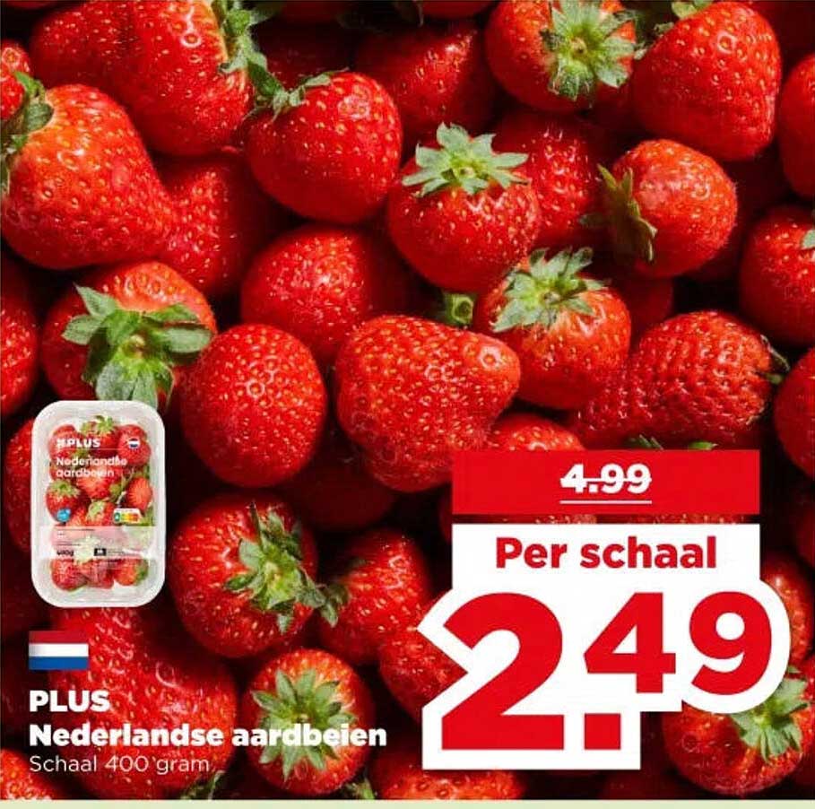 PLUS Nederlandse aardbeien Schaal 400 gram