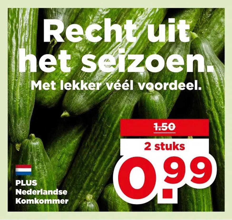 PLUS Nederlandse Komkommer 2 stuks 0.99