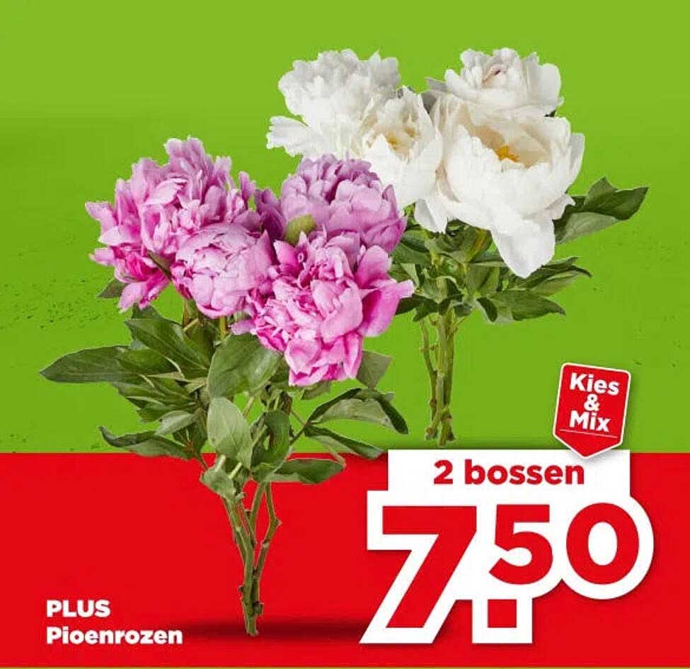 PLUS Pioenrozen Kies & Mix 2 bossen