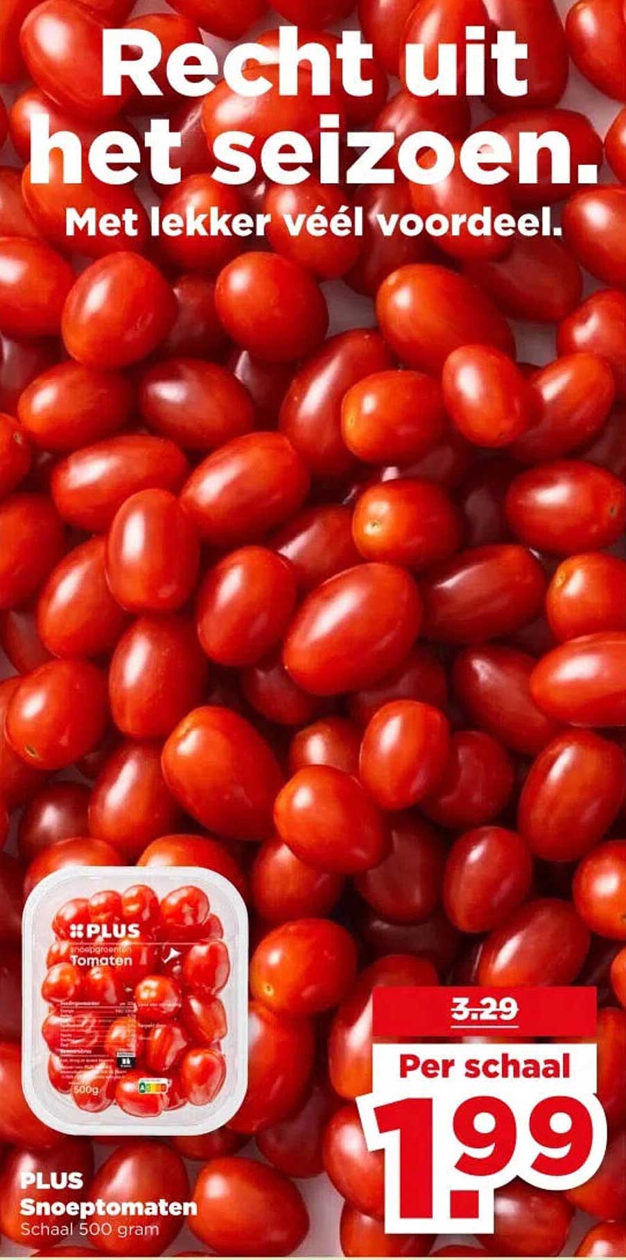PLUS Snoeptomaten Schaal 500 gram