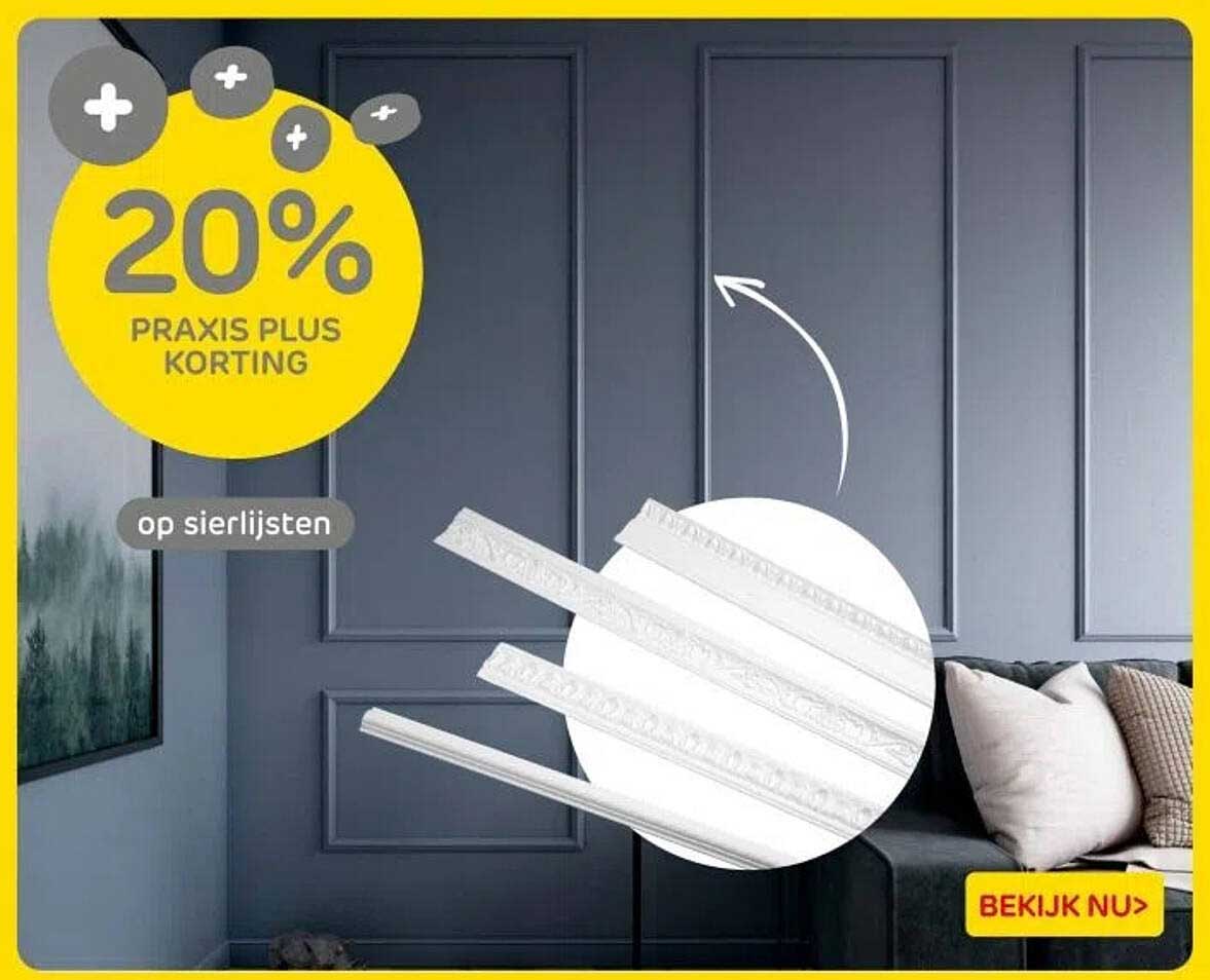 20% PRAxis Plus korting op sierlijsten