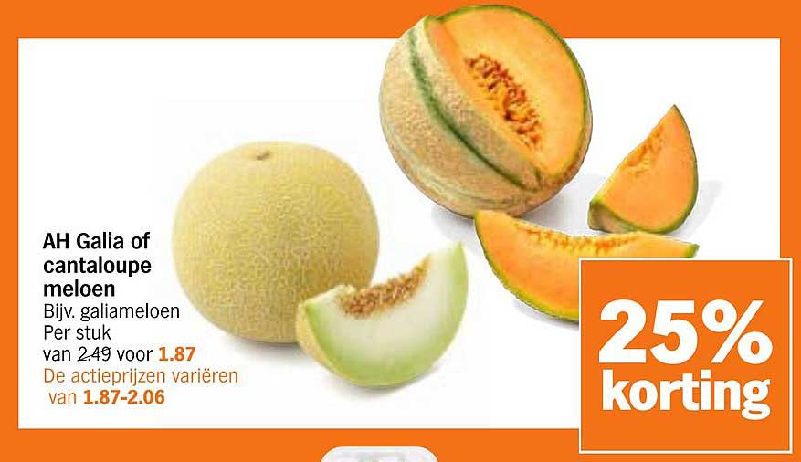 AH Galia of cantaloupe meloen
