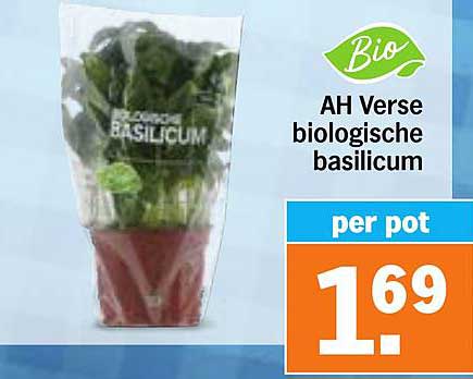 AH Verse biologische basilicum