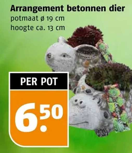Arrangement betonnen dier