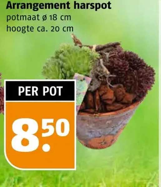 Arrangement harspot