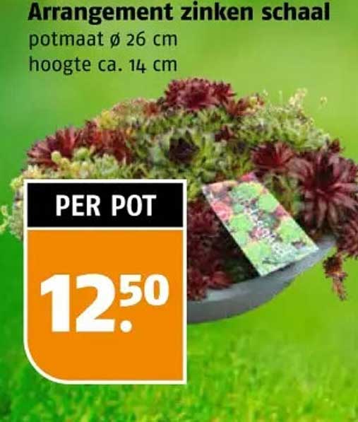 Arrangement zinken schaal