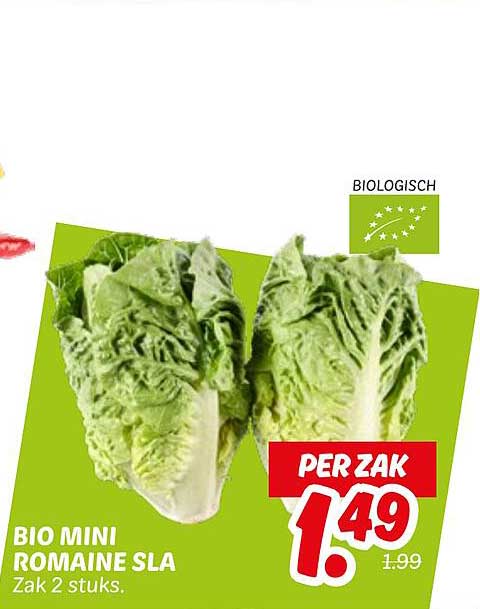 BIO MINI ROMAINE SLA