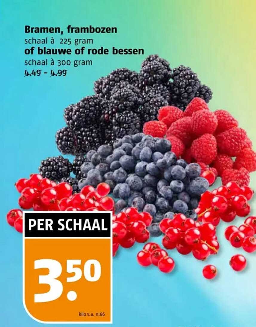 Bramen, frambozen schaal à 225 gram of blauwe of rode bessen schaal à 300 gram