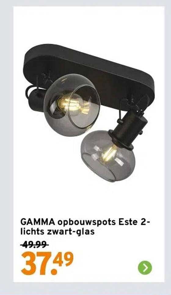 GAMMA opbouwspots Este 2-lichts zwart-glas