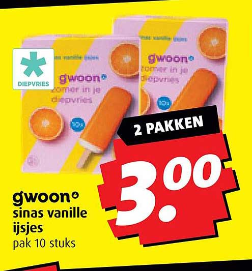 gwoon sinas vanille ijsjes pak 10 stuks