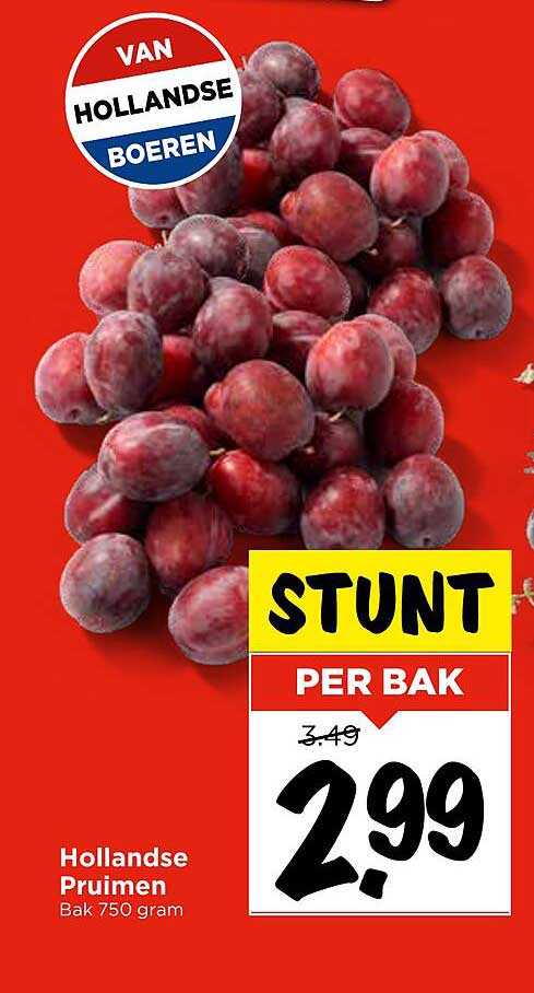 Hollandse Pruimen