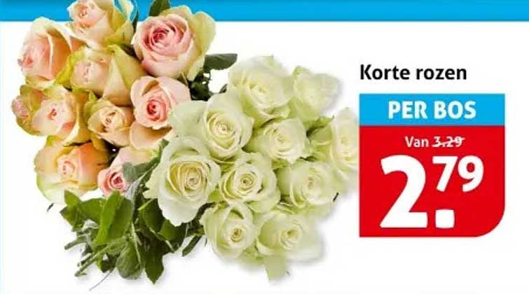 Korte rozen
