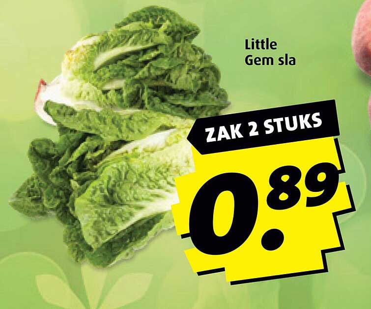 Little Gem sla - Zak 2 stuks