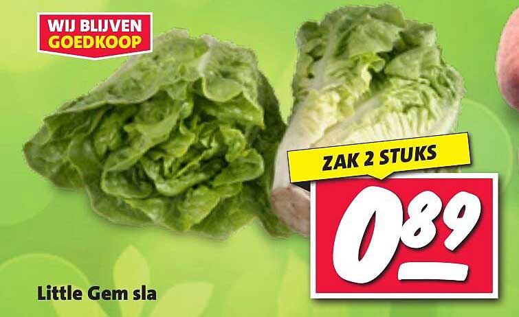 Little Gem sla - Zak 2 stuks
