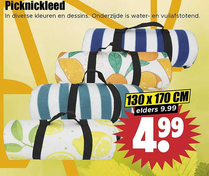 Picknickkleed