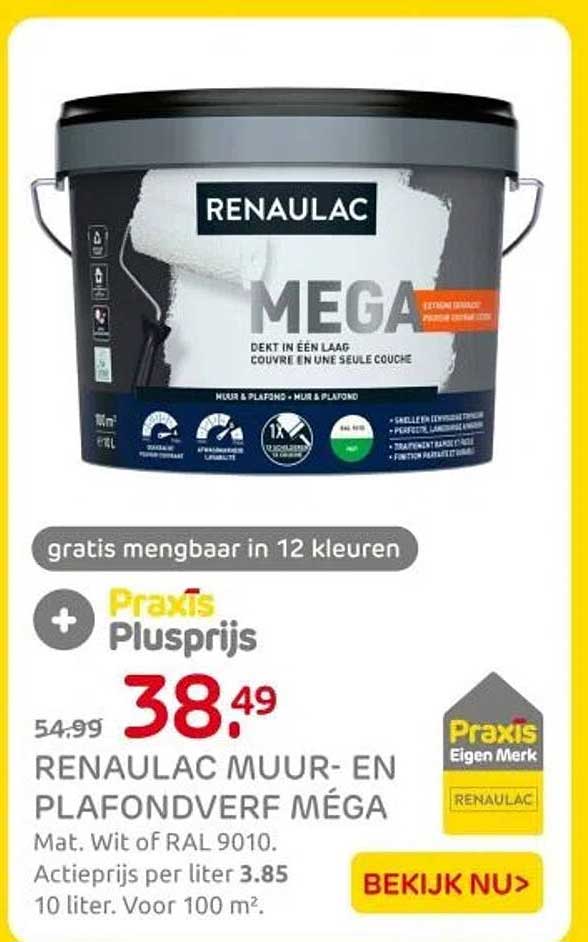 RENAULAC MUUR- EN PLAFONDVERF MÉGA