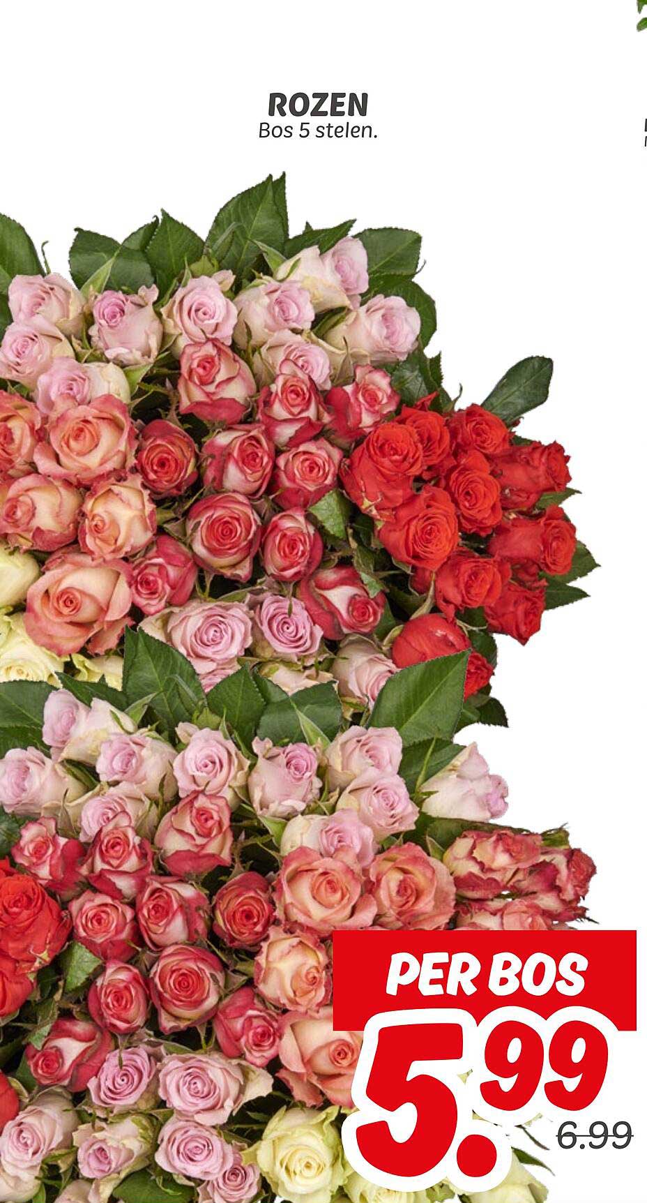 ROZEN Bos 5 stelen.
