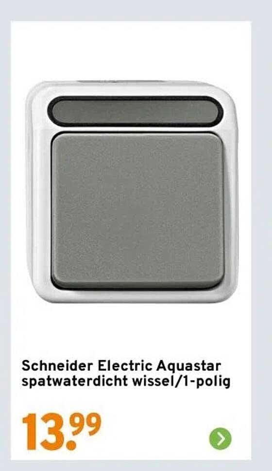 Schneider Electric Aquastar spatwaterdicht wissel/1-polig