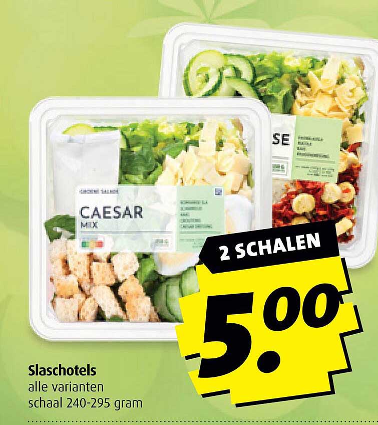 Slaschotels alle varianten schaal 240-295 gram