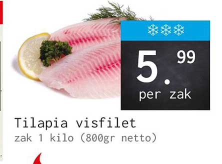 Tilapia visfilet