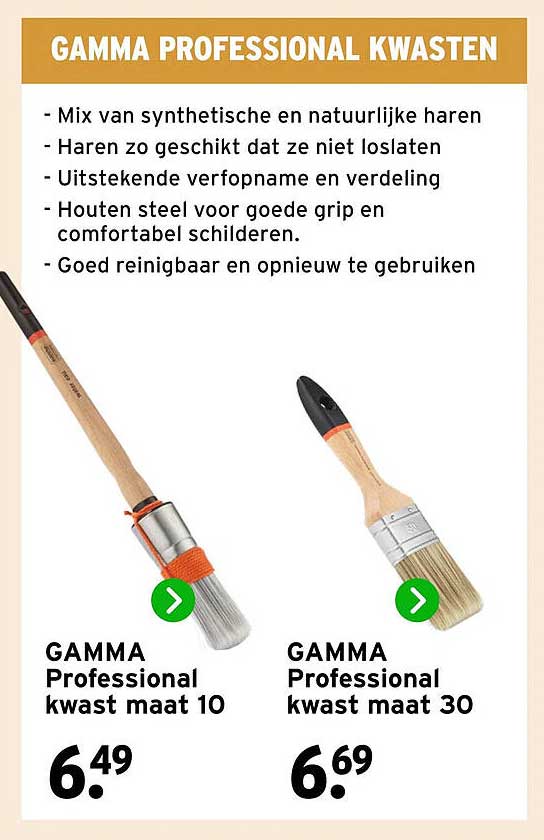 GAMMA Professional kwast maat 10