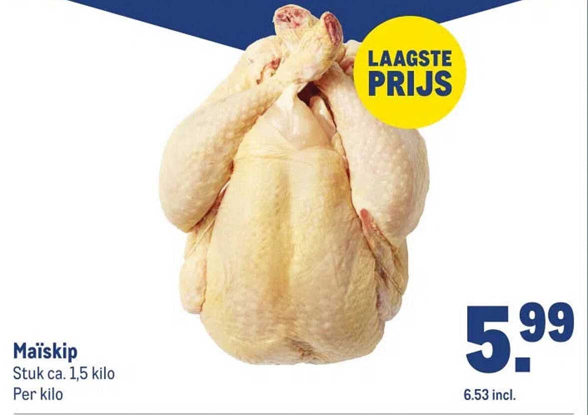 Mäiskip