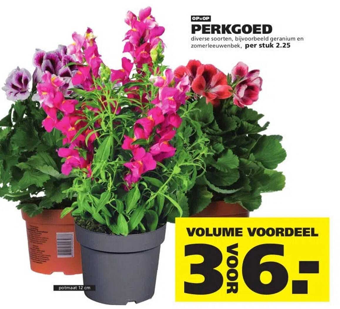 OP=OP PERKGOED diverse soorten, bijvoorbeeld geranium en zomerleeuwenbek, per stuk 2.25
