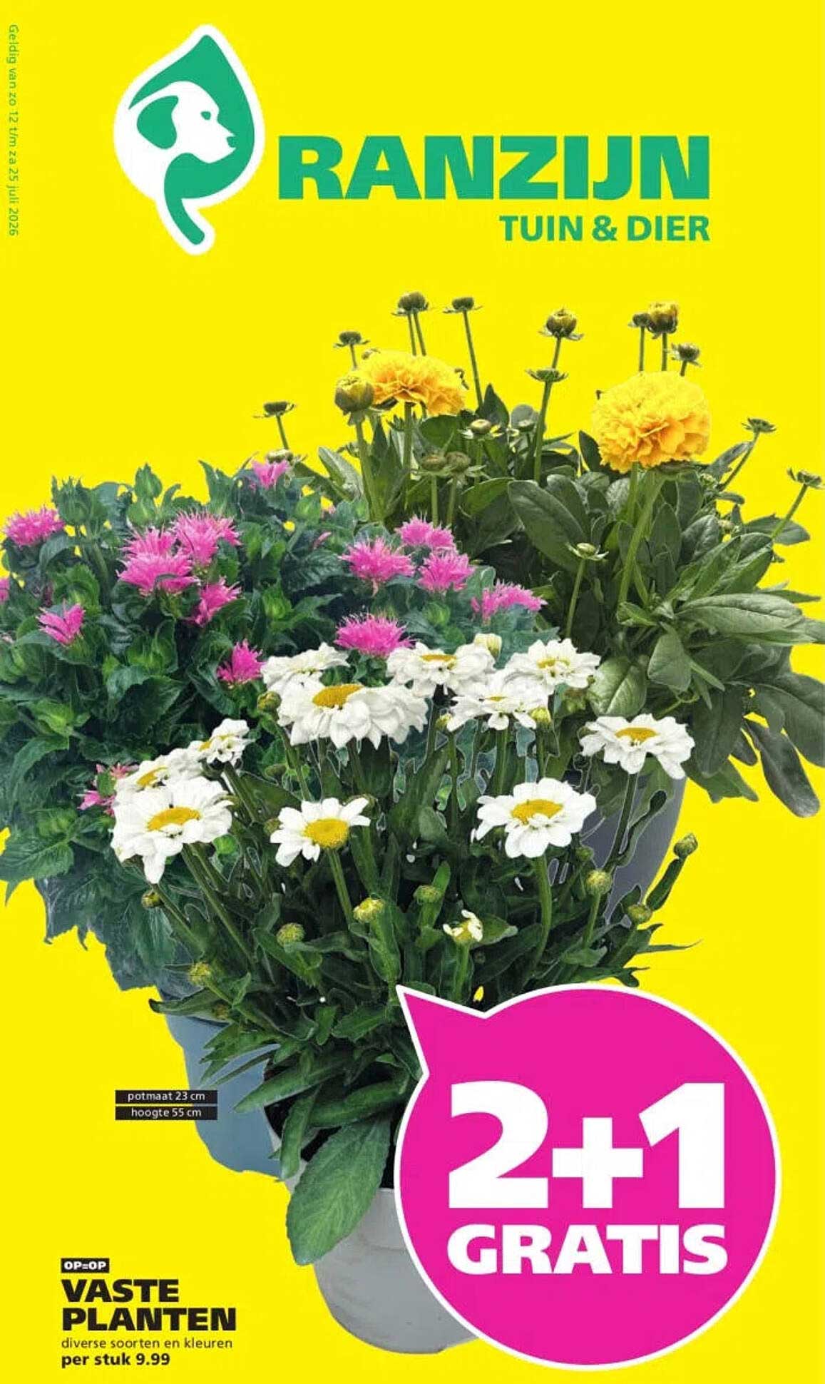 Vaste planten diverse soorten en kleuren per stuk 9.99 2+1 gratis