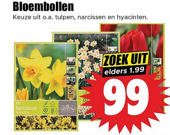 Bloembollen