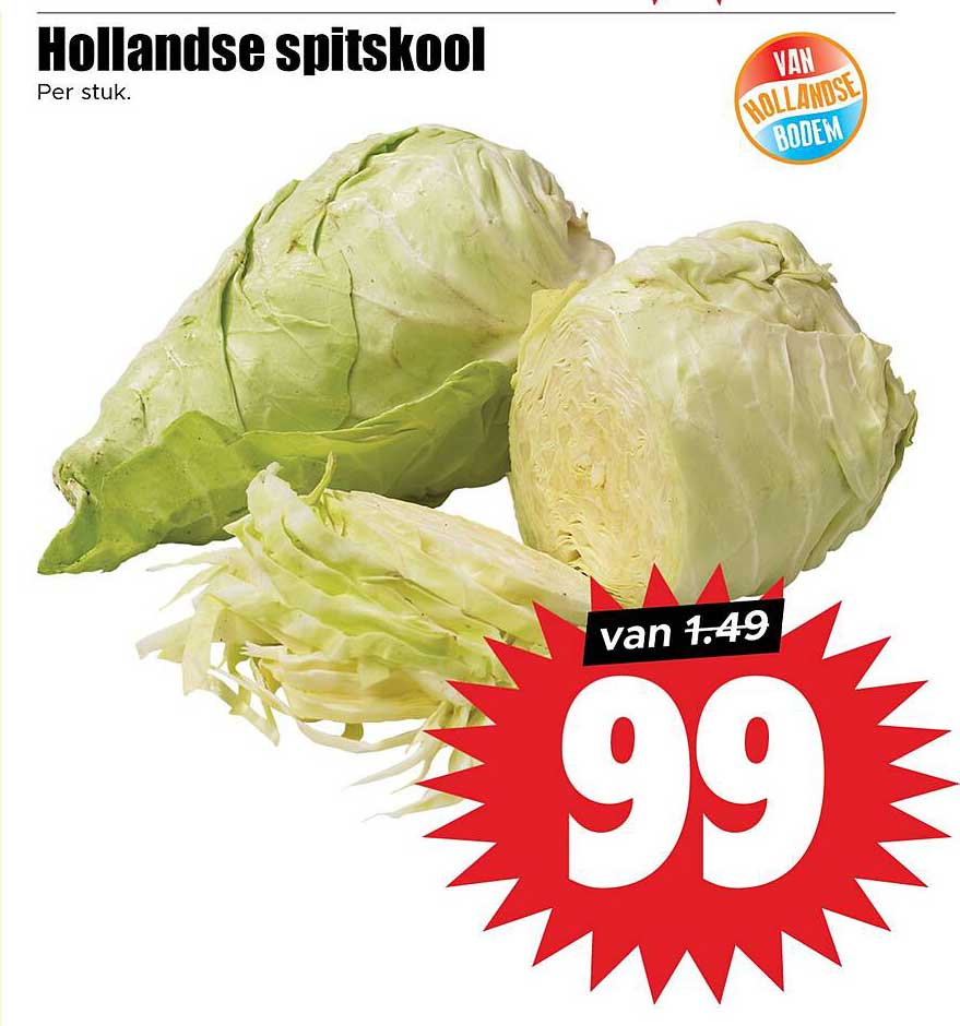 Hollandse spitskool