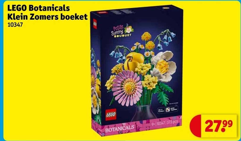 LEGO Botanicals Klein Zomers boeket 10347