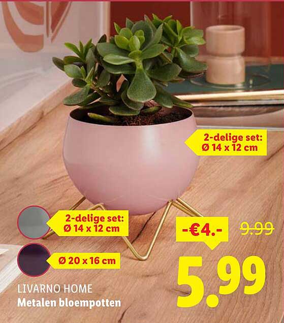 LIVARNO HOME Metalen bloempotten