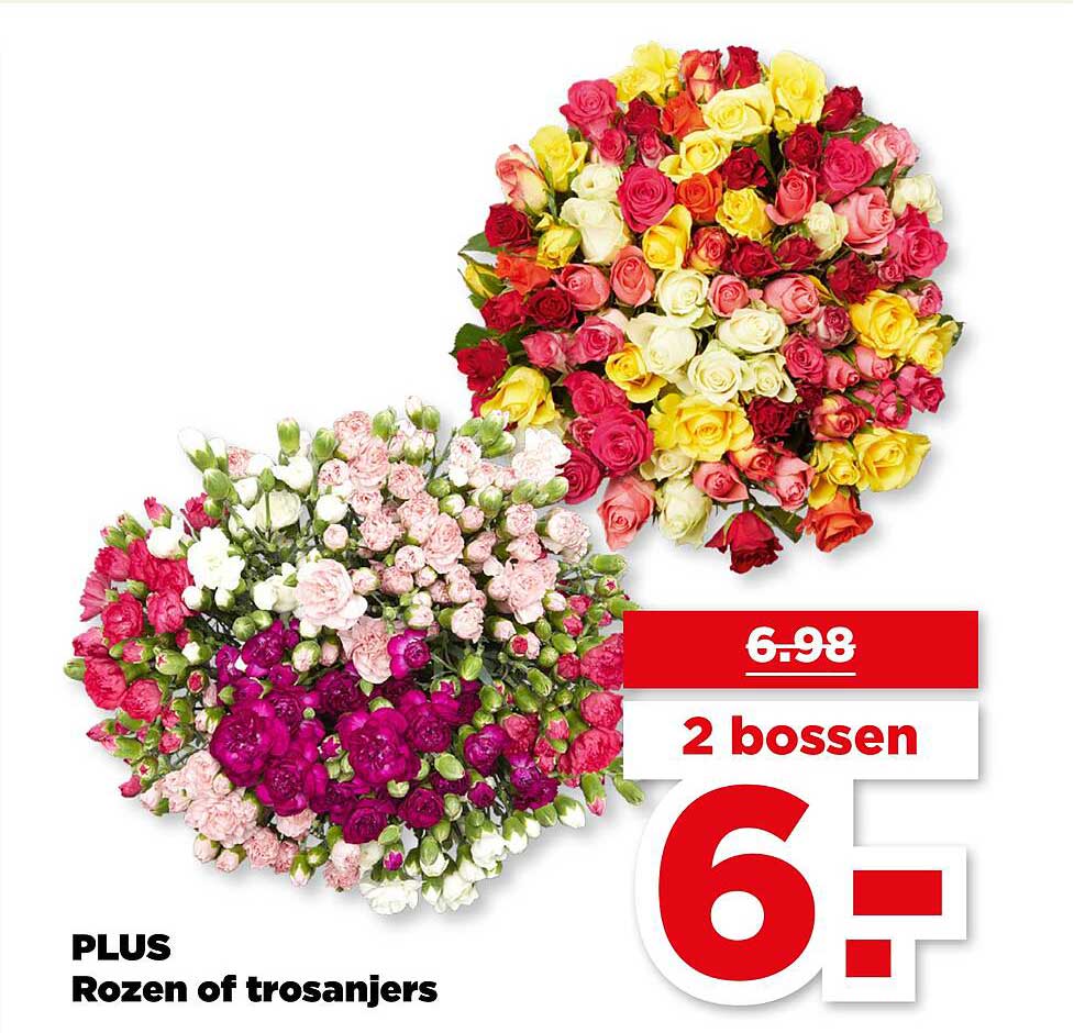 PLUS Rozen of trosanjers