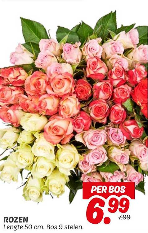 Rozen