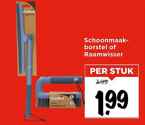 Schoonmaakborstel of Raamwisser