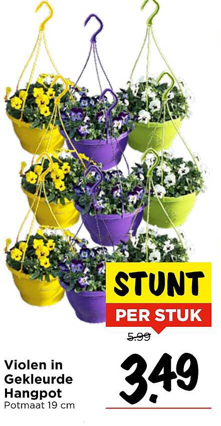 Violen in Gekleurde Hangpot