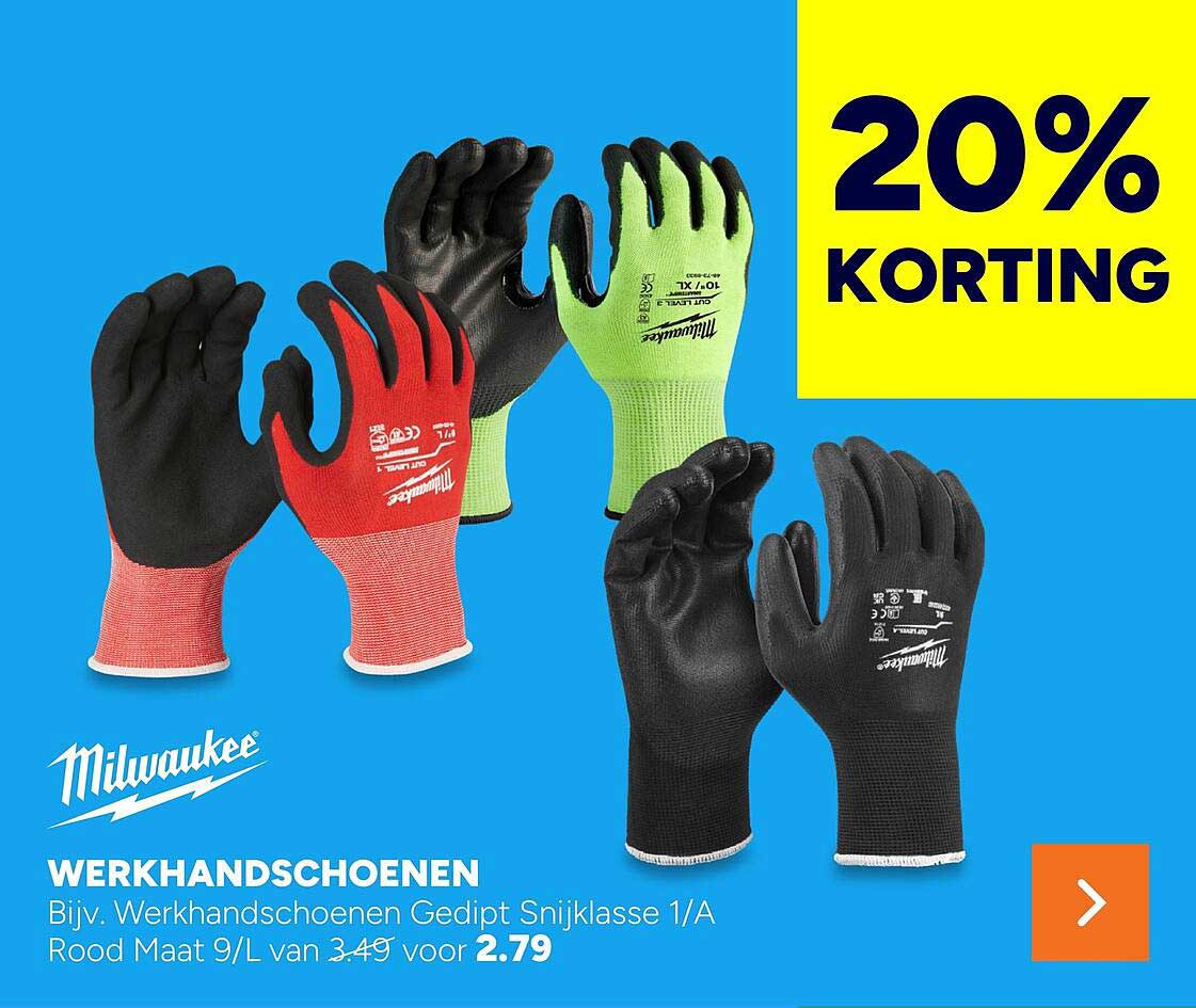 WERKHANDSCHOENEN